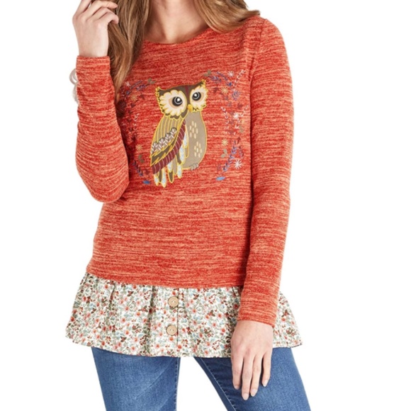 Joe Browns Tops - Joe Browns long owl shirt